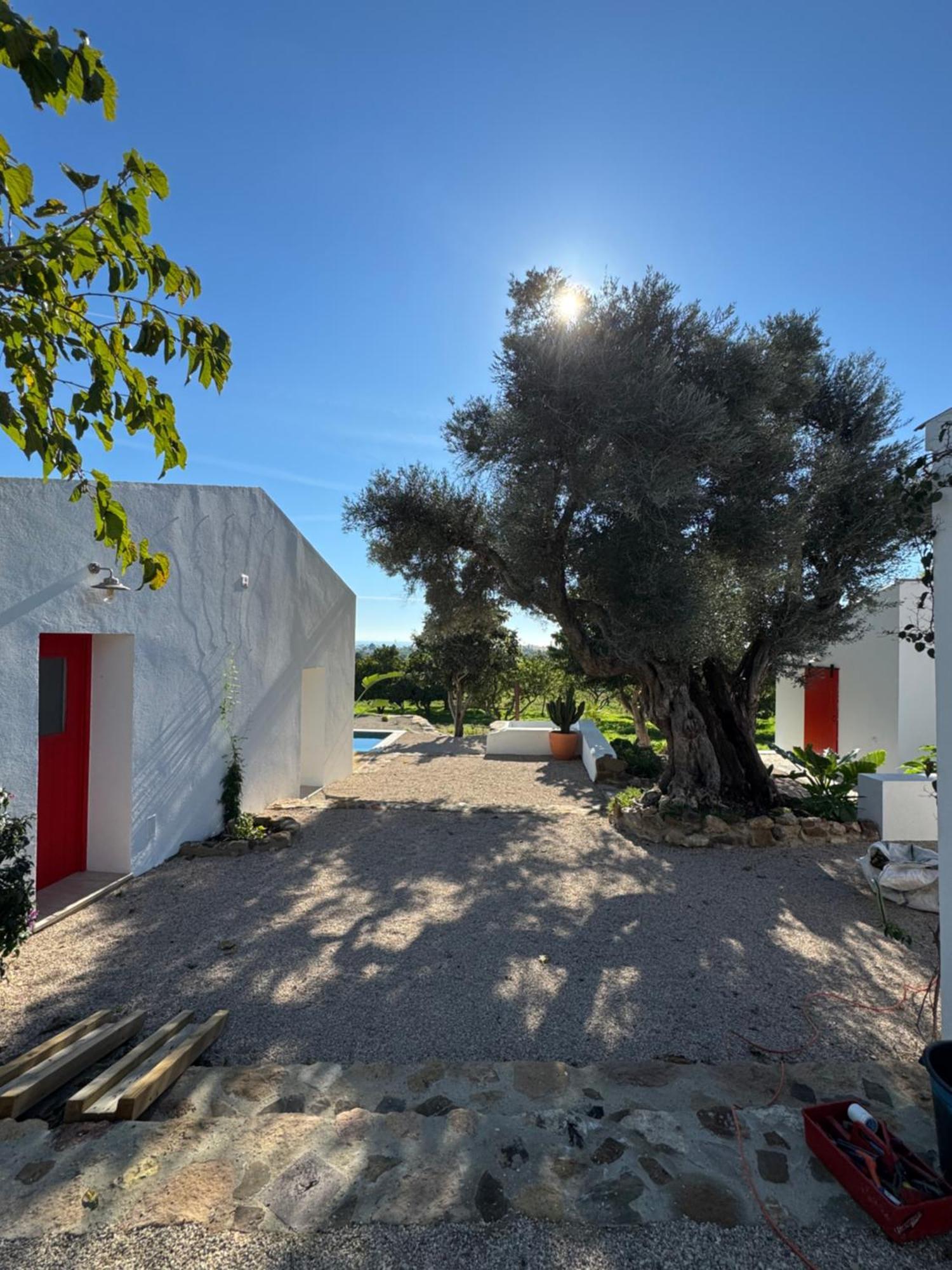 Вилла Quinta Castor Вила-Нова-де-Касела Экстерьер фото
